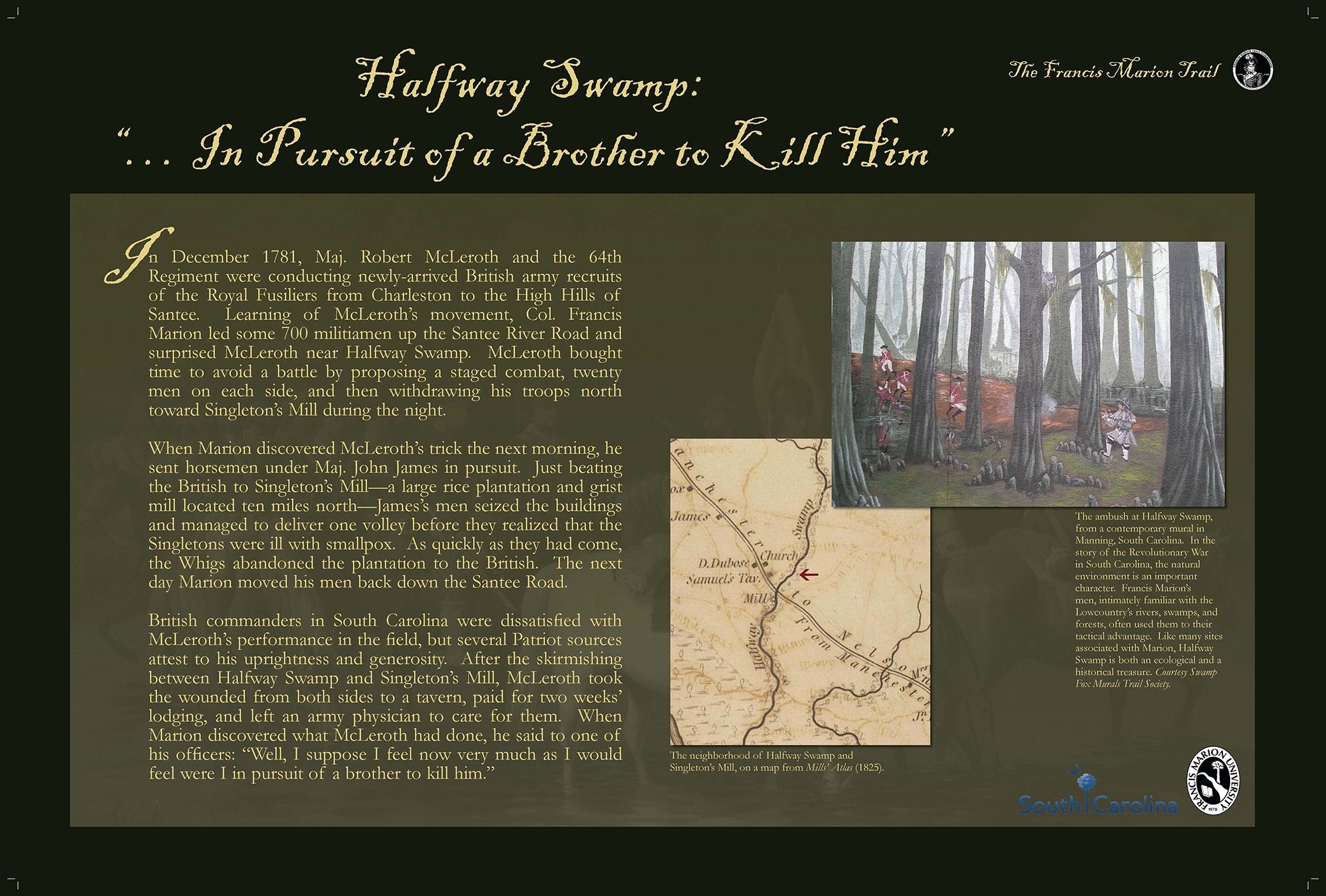 Halfway Swamp