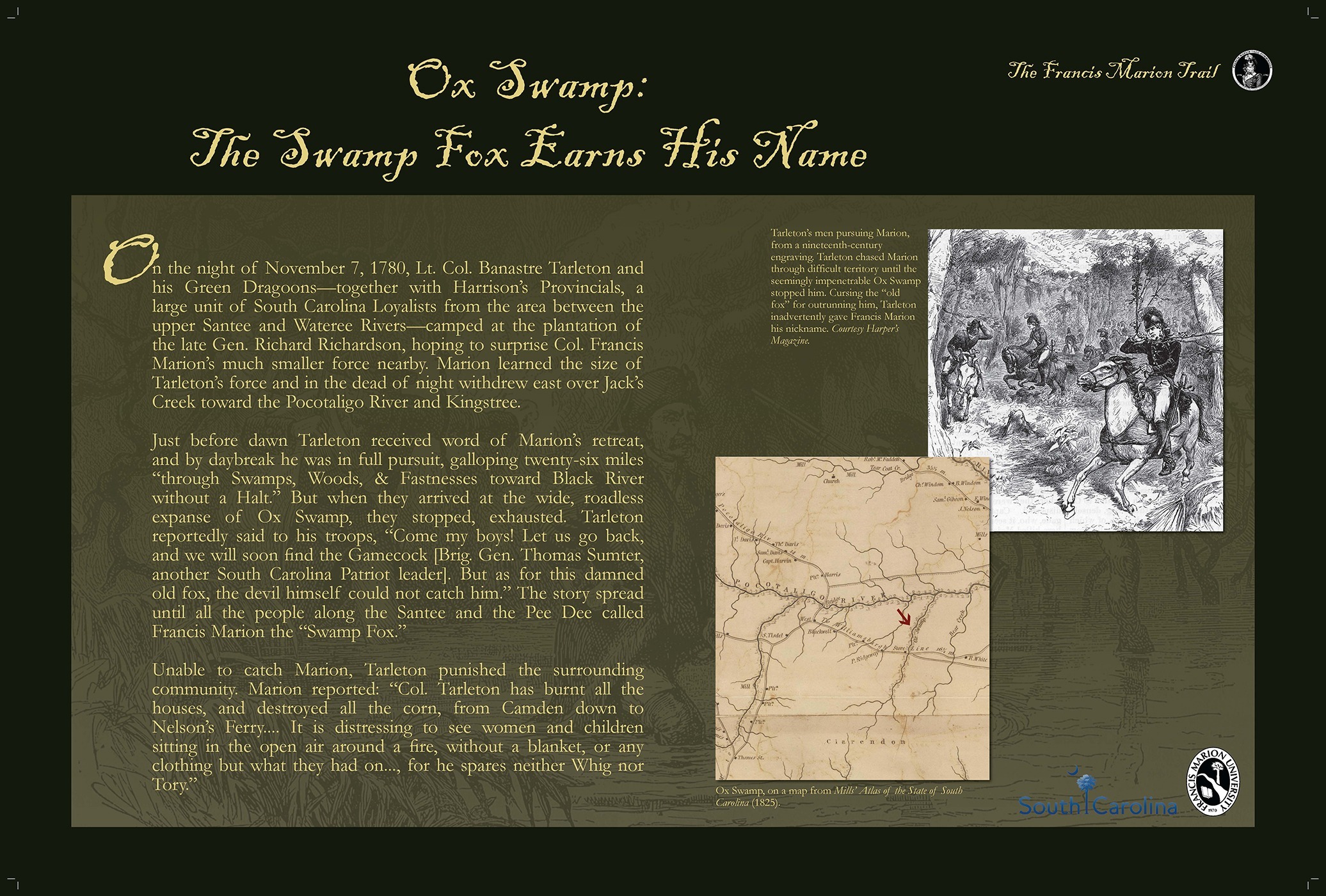 Ox Swamp