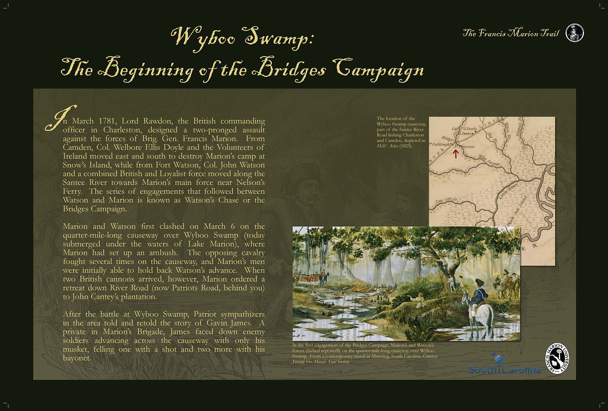 Wyboo Swamp